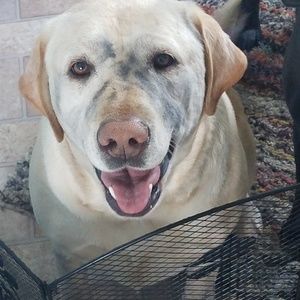 Meet your Posher, Sherry